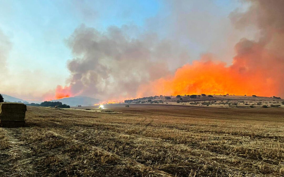 Asistencia en Incendios Forestales