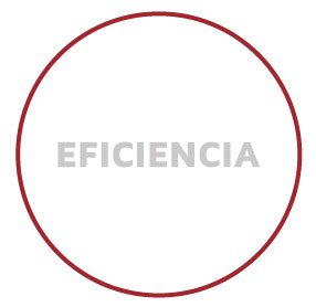 consultora medioambiental