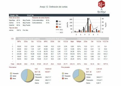 Inventario Trifor definicion de cortas