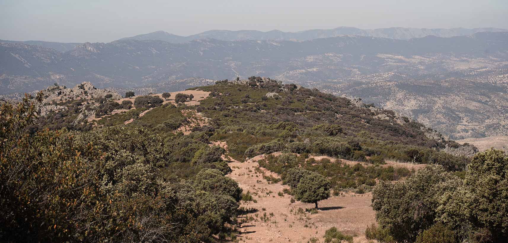 ordenacion de montes