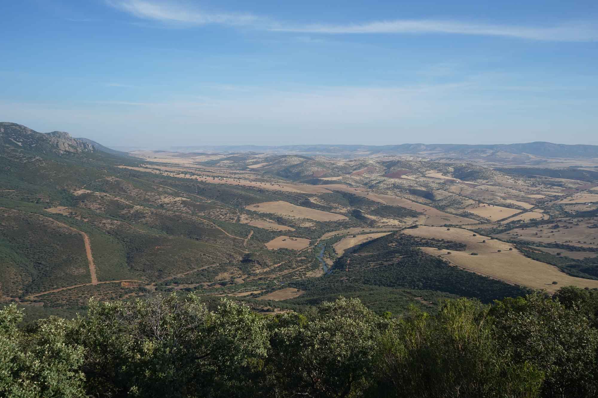 Ordenacion de montes