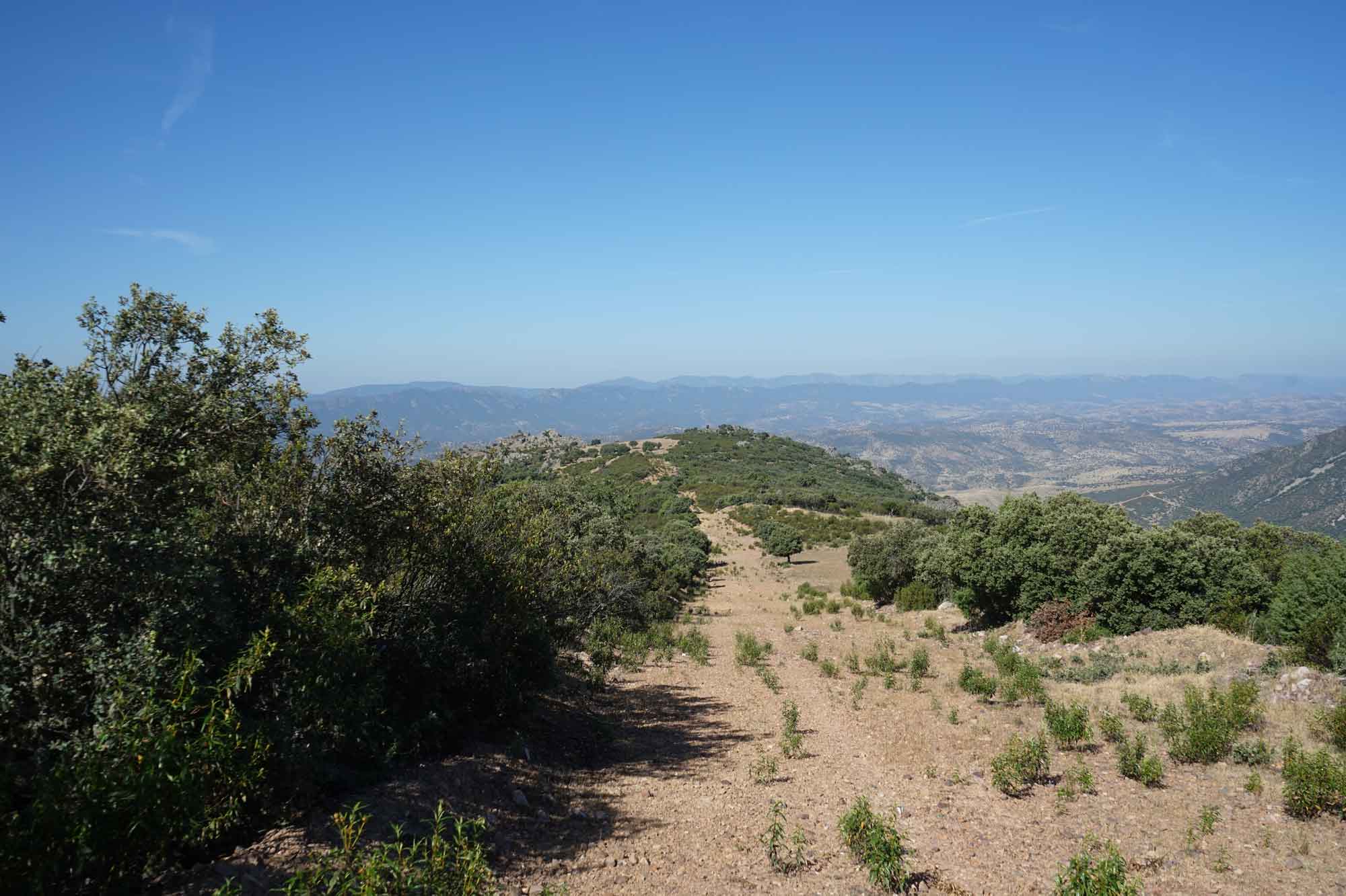 Ordenacion de montes