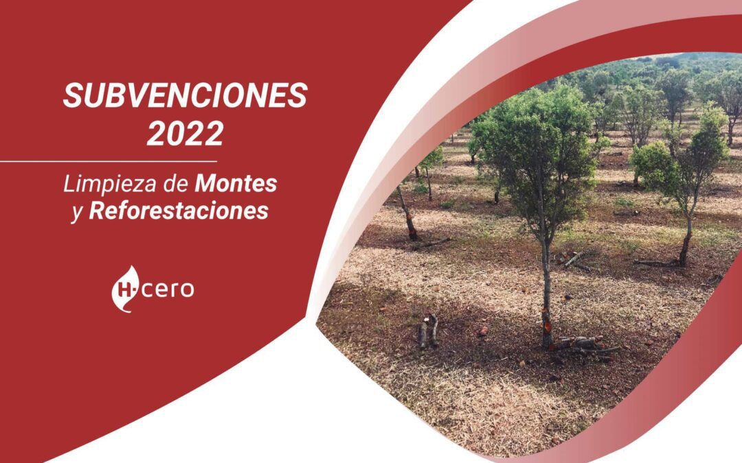 Ayudas y Subvenciones 2021/22 – Limpieza de Montes y Reforestaciones