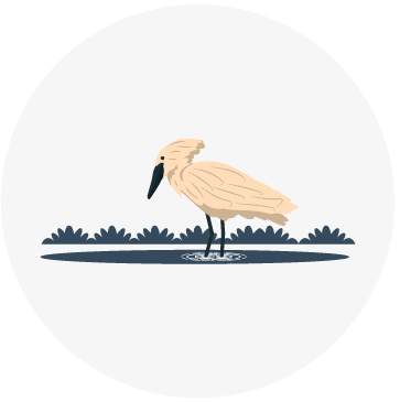 biodiversidad Biodiversidad