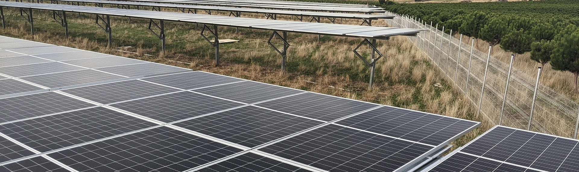 solar campo solar