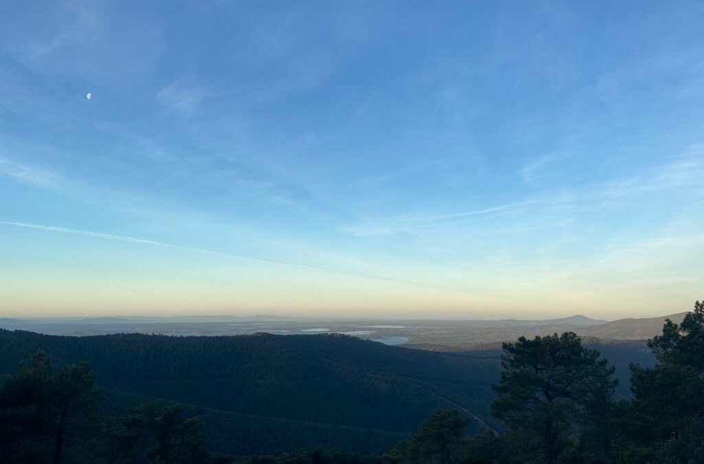 POM e inventario forestal en los Montes de Granadilla (Cáceres-Salamanca) / blog 7