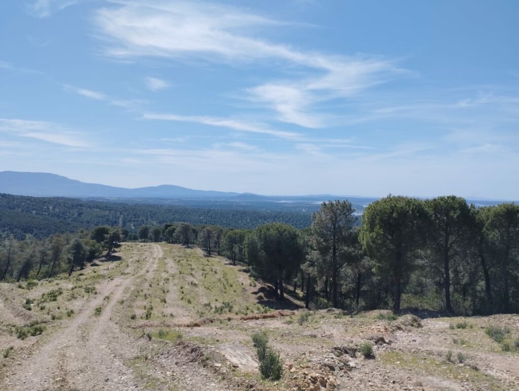 POM e inventario forestal en los Montes de Granadilla (Cáceres-Salamanca) / blog 7